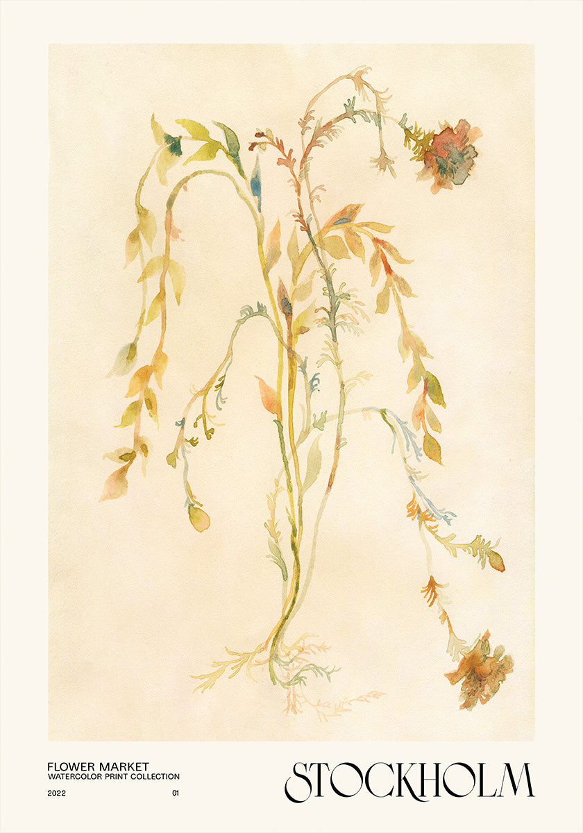 Sammlung von Aquarelldrucken. Blumenmarkt - Stockholm