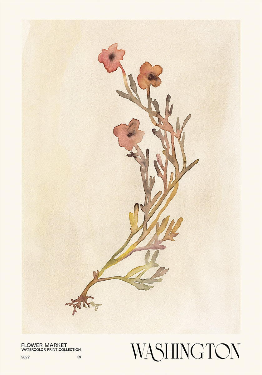 Sammlung von Aquarelldrucken. Blumenmarkt - Washington