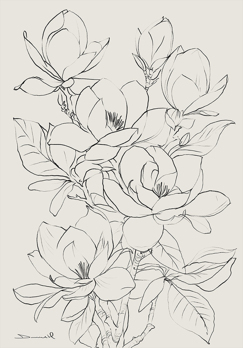 Magnolienbaum