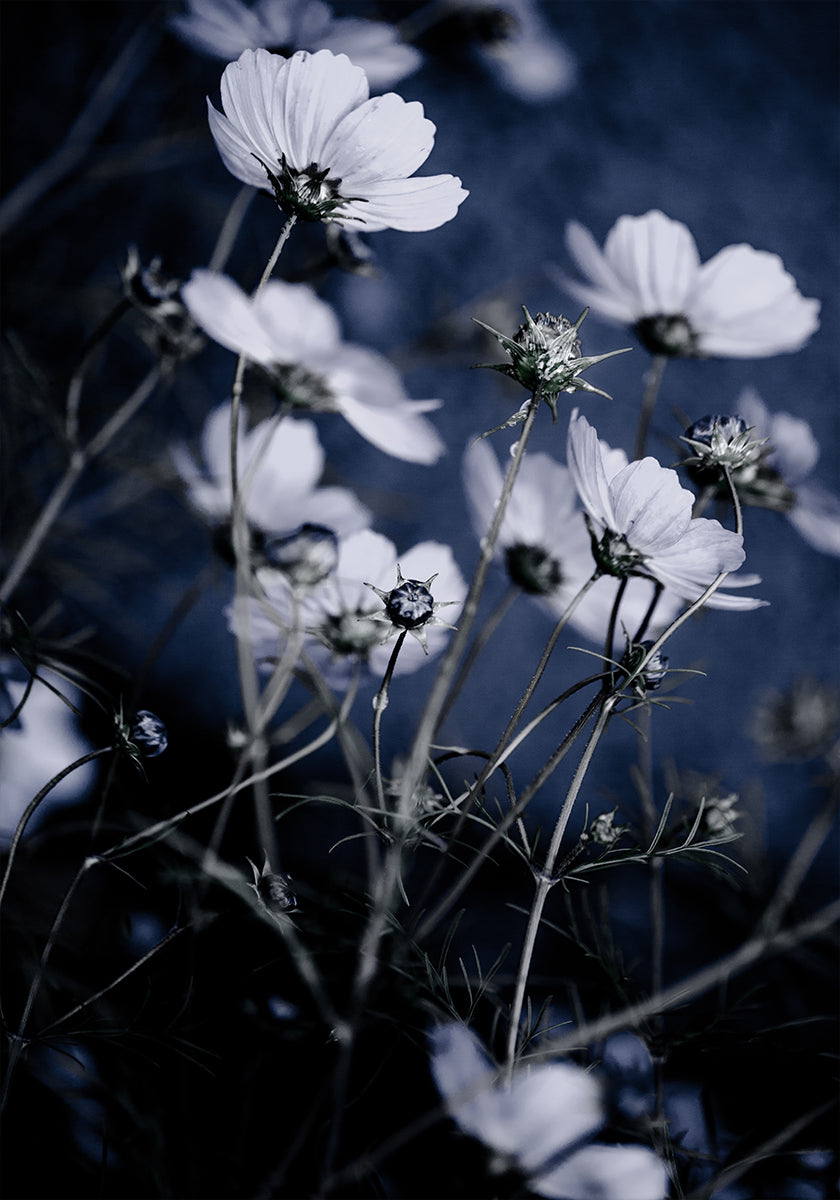 Wilde Blumen 10