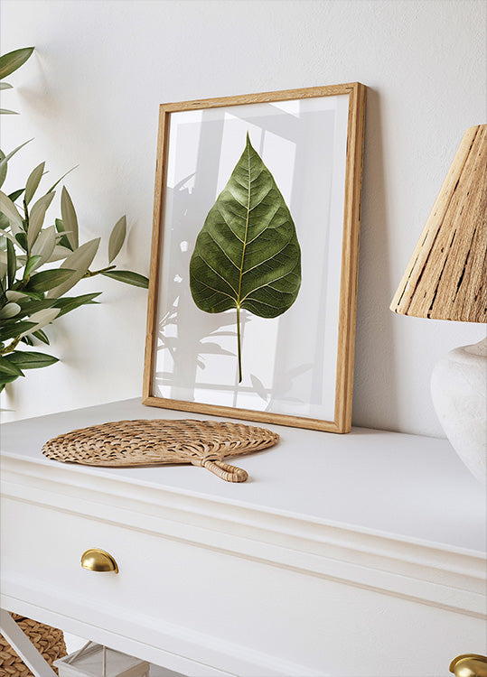 Leaf's Intricate Veins (NEW) - Posterbox