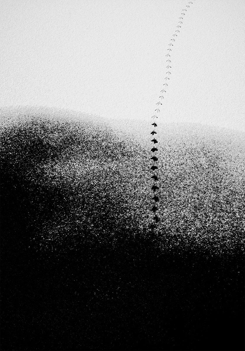 Spuren im Schnee Poster