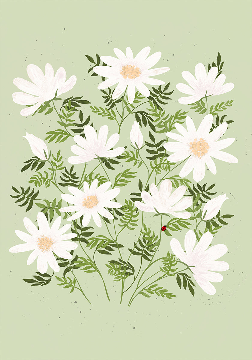Marienkäferblumen