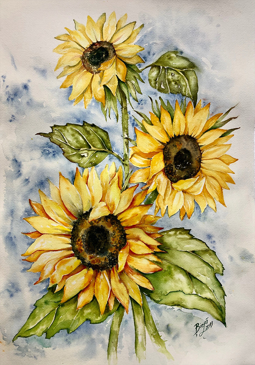 Sonnenblumen