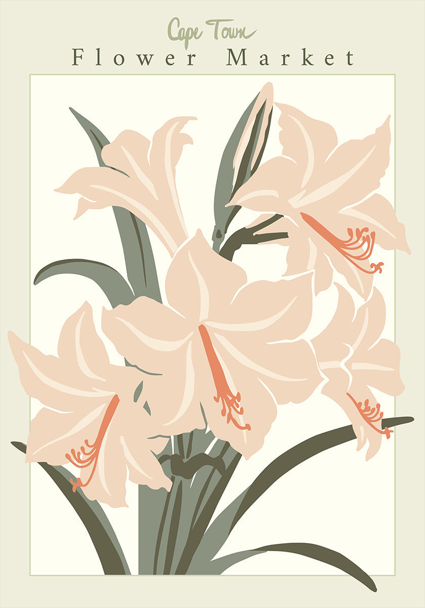 Blumenmarkt Cap Town Amaryllis Poster