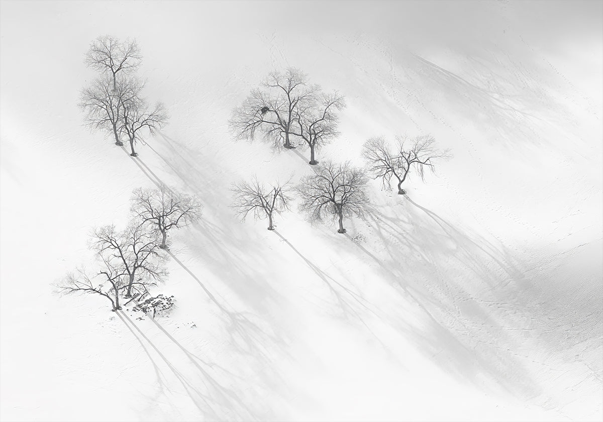 Wintertraum – ein Stillballett-Poster