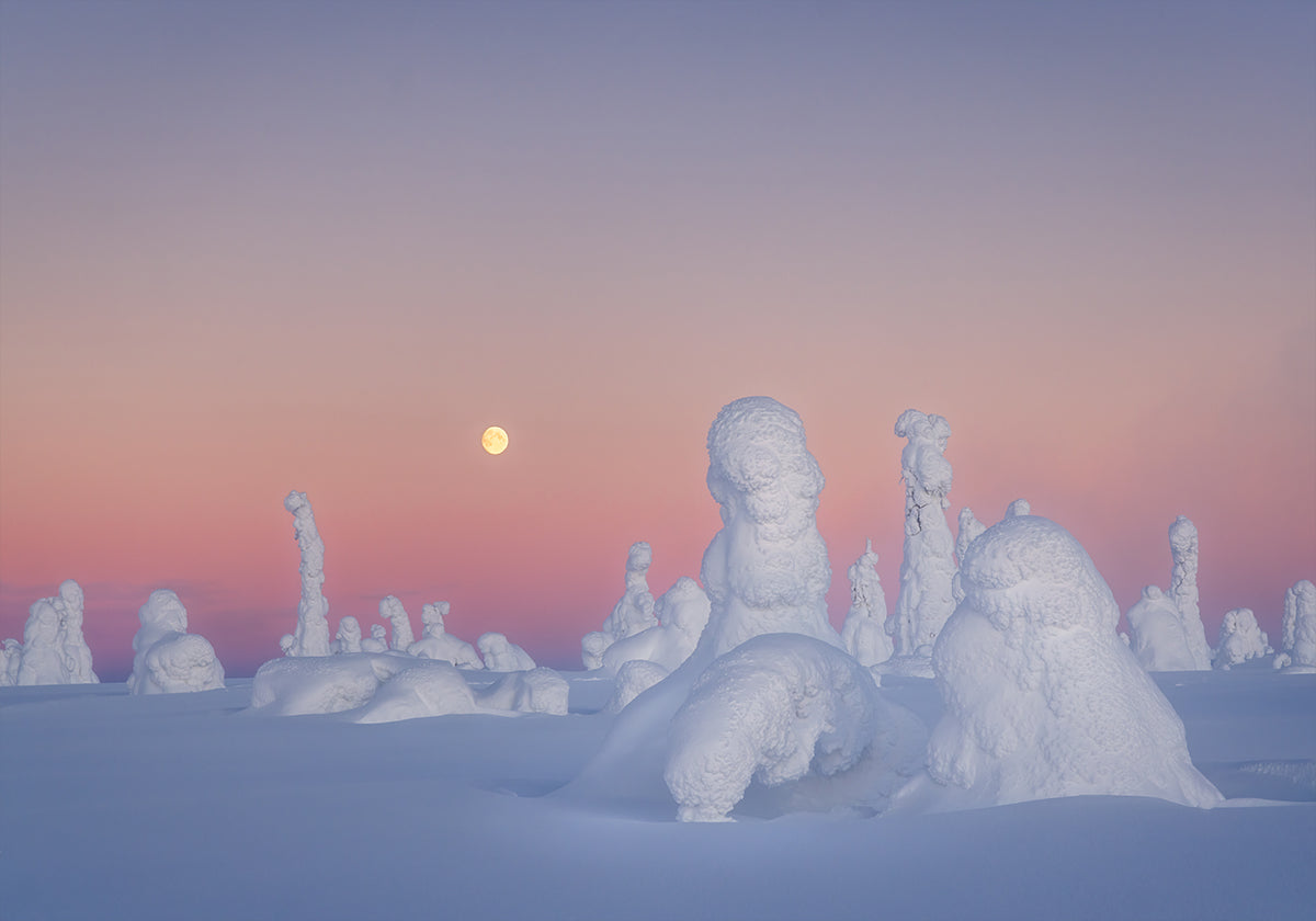 Shakespeares Drama-Plakat