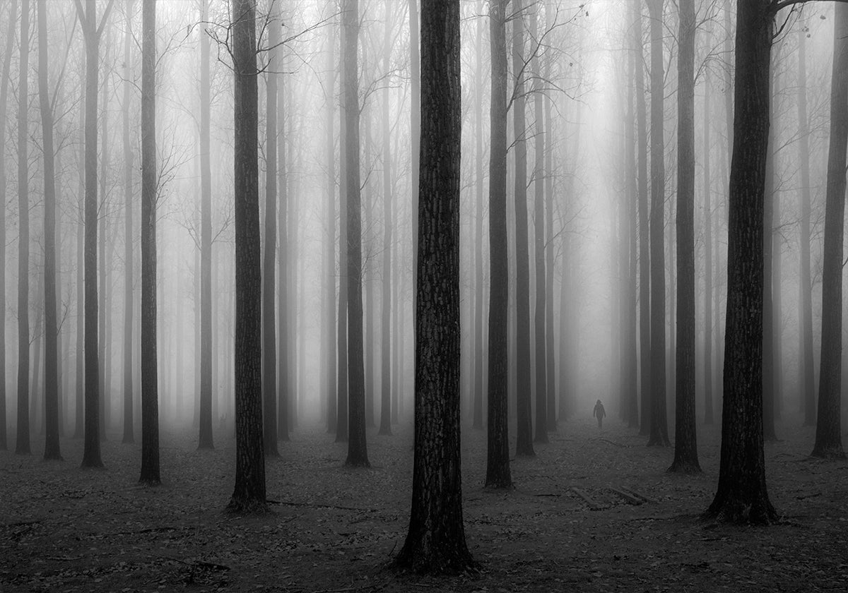 Im Nebel
