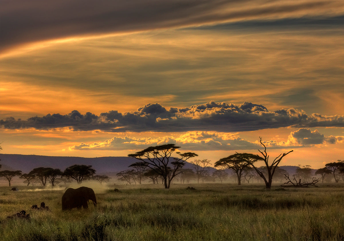 Afrika-Plakat