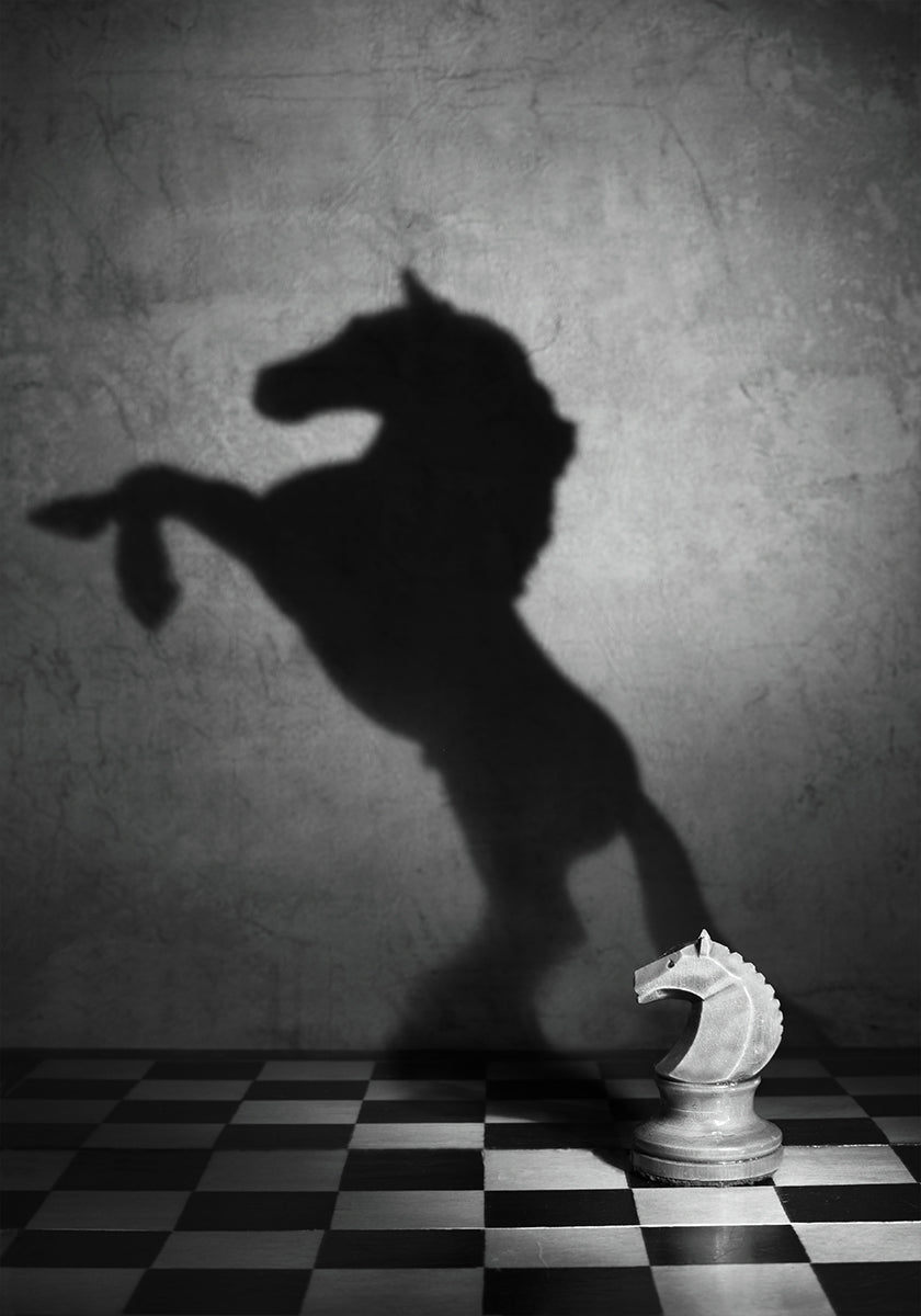 Die Seele eines Mustangs
