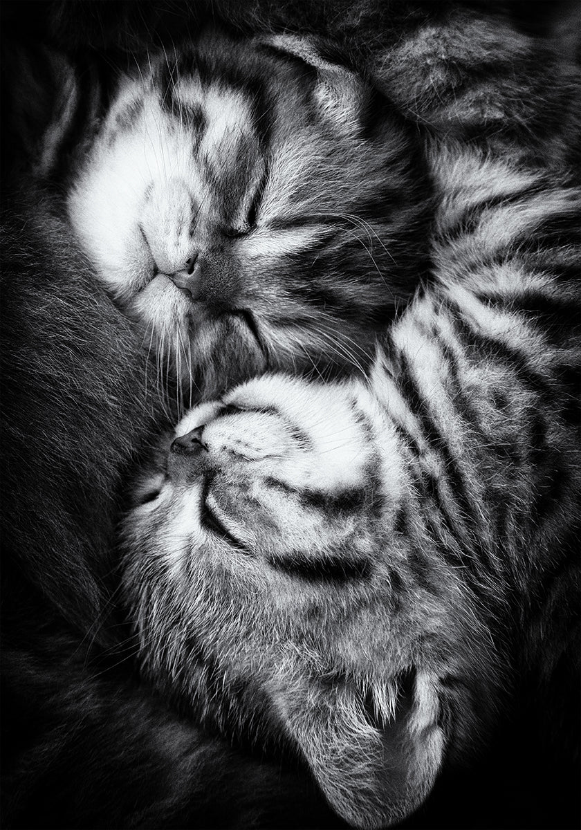 Yin und Yang