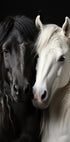 Bw Horses 3 (NEW) - Posterbox