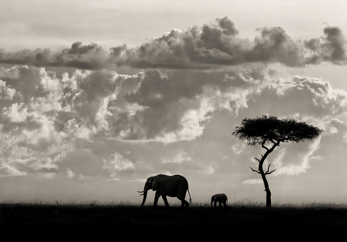 Silhouetten von Mara