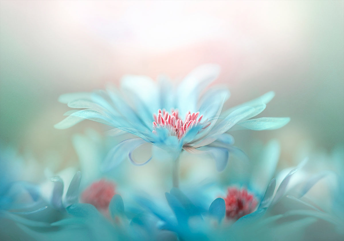 Fantasie