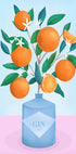 Oranges (NEW) - Posterbox