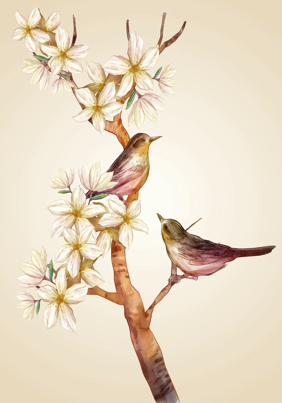 Bird On Branch Plakat - Posterbox.dk