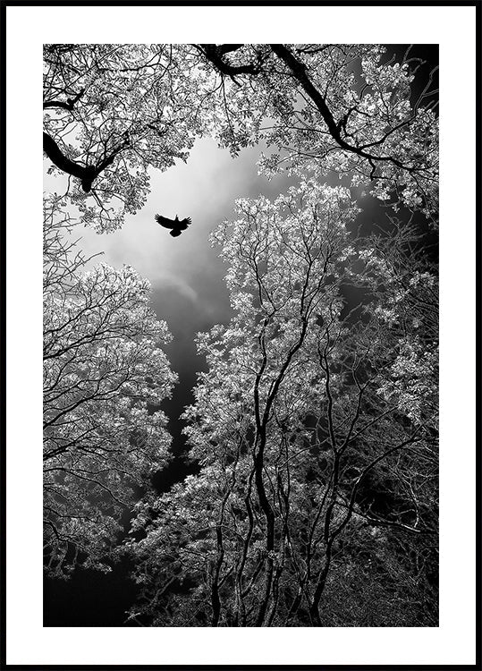 Flug