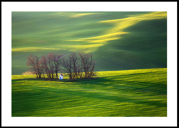 Felder...