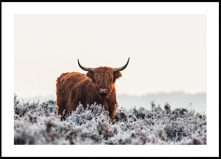 Highlander-Poster