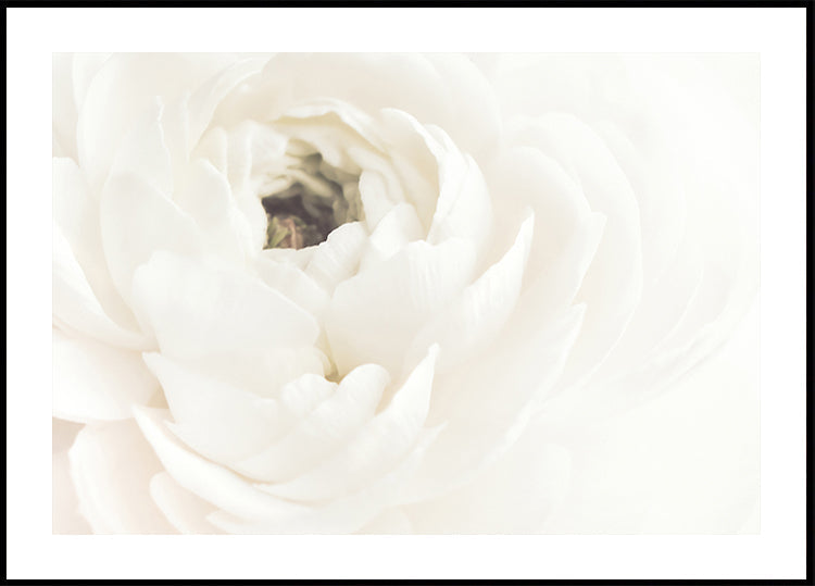 Weißes Blumenplakat