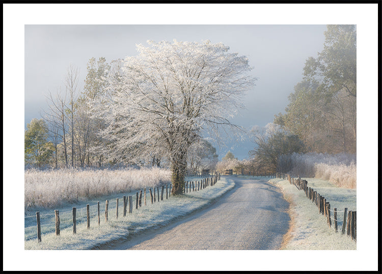 Ein frostiges Morgenplakat