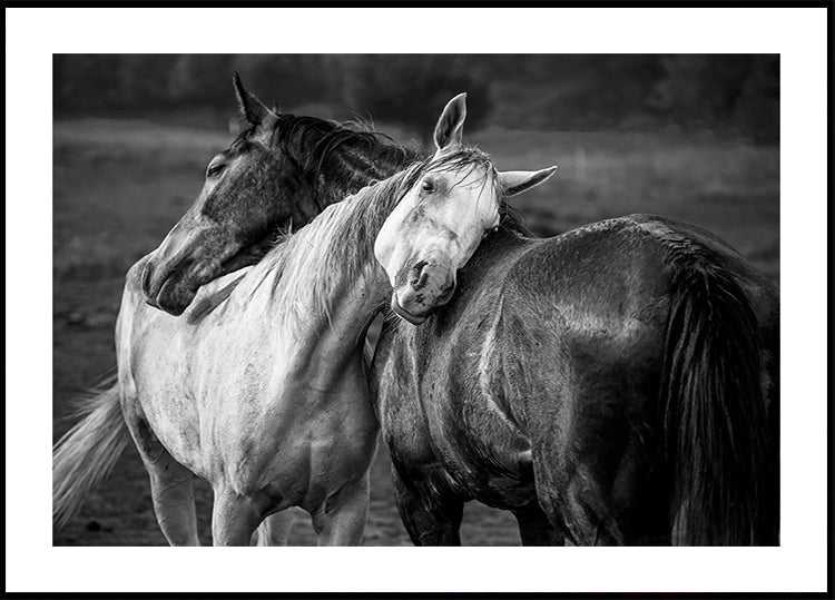 Poster mit warmem Regen