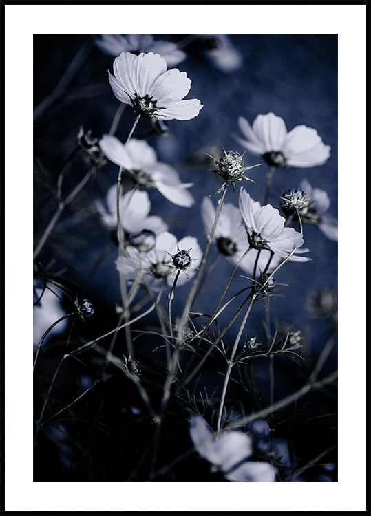 Wilde Blumen 10