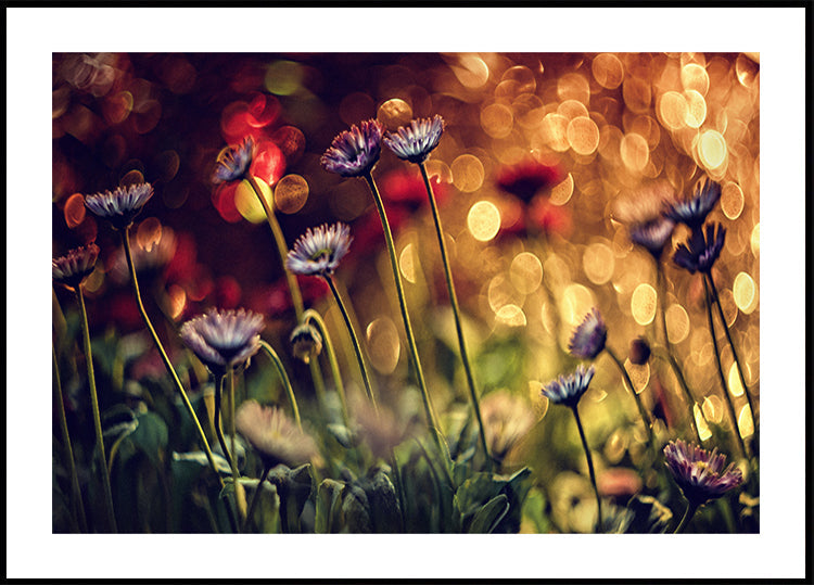 Ohne Titel