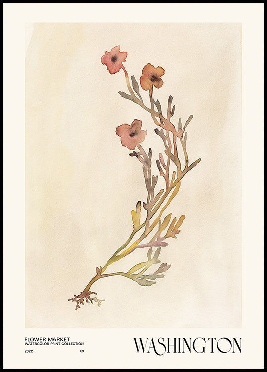 Sammlung von Aquarelldrucken. Blumenmarkt - Washington