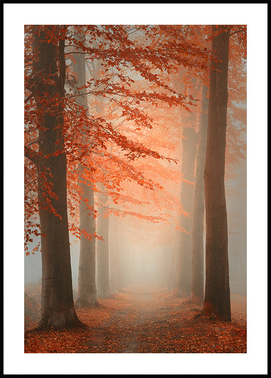Herbsttraum-Poster
