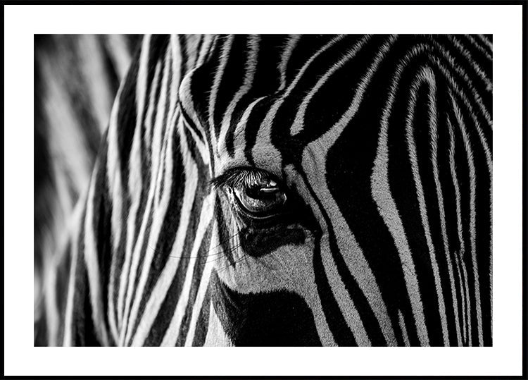 Abstraktes Zebra-Poster