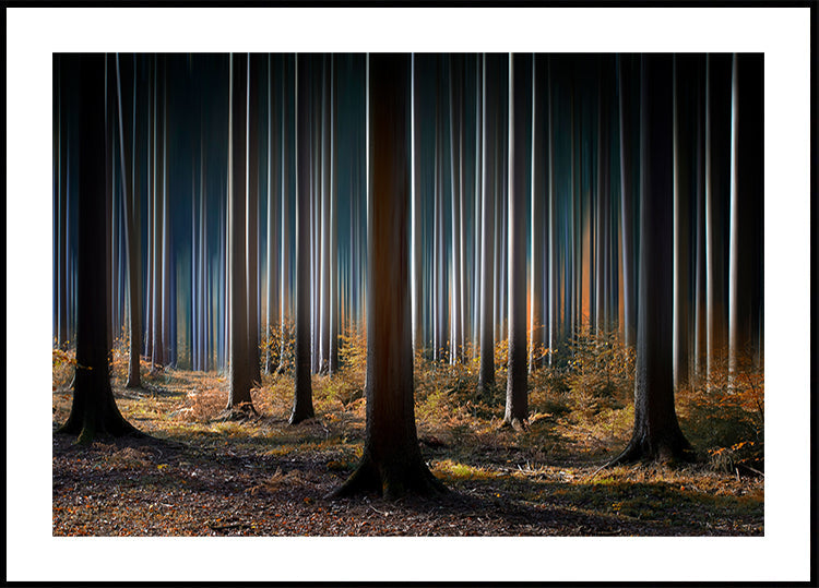 Mystisches Holz