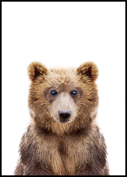Babybär