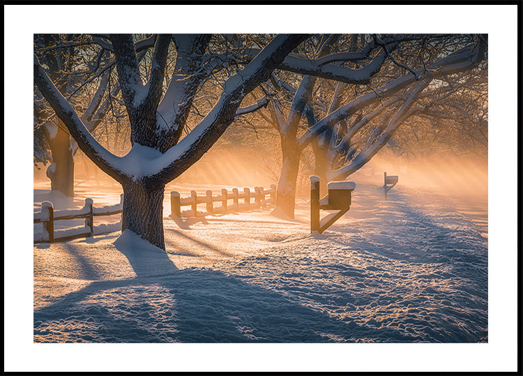 Poster nach dem Schneesturm
