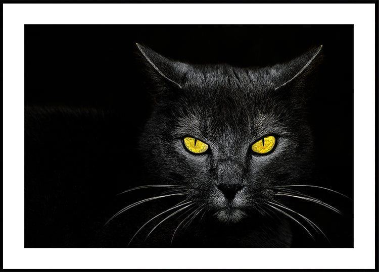 Schwarzes Katzenplakat