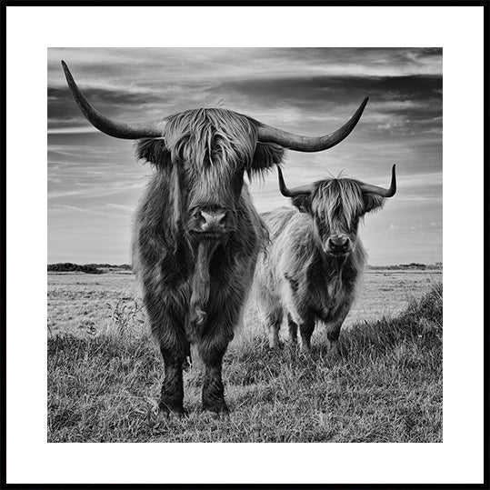 Highlands-Poster