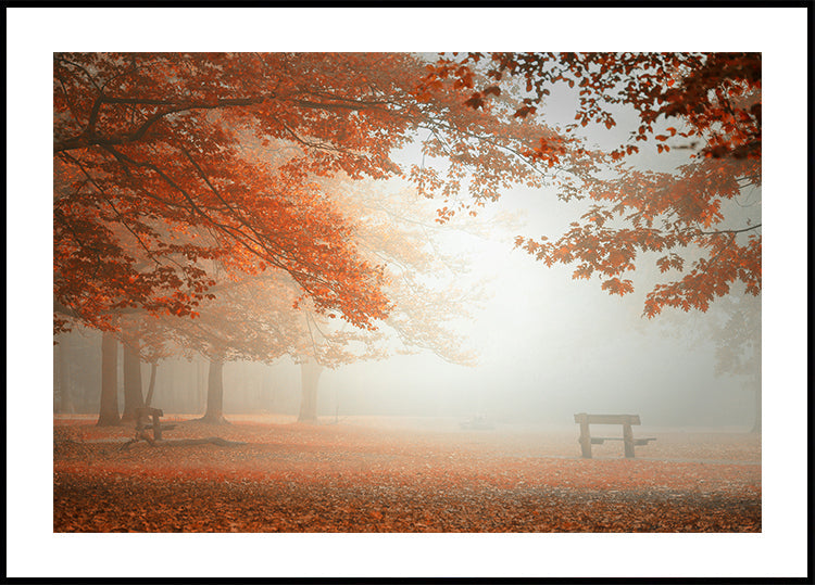 Die Wunder der Natur Poster