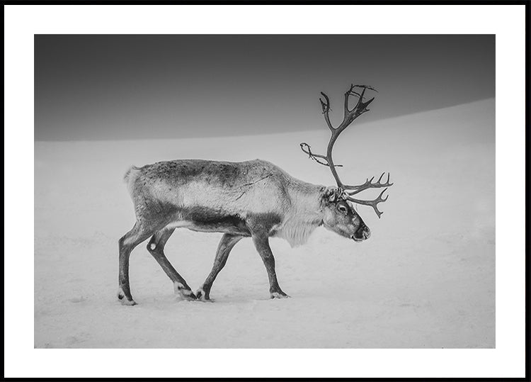 Alone in the Arctic wasteland Plakat