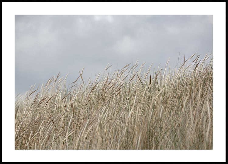 Dünen und Wolken