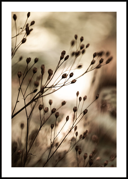 Herbstlichter
