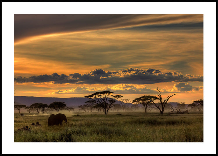 Afrika-Plakat