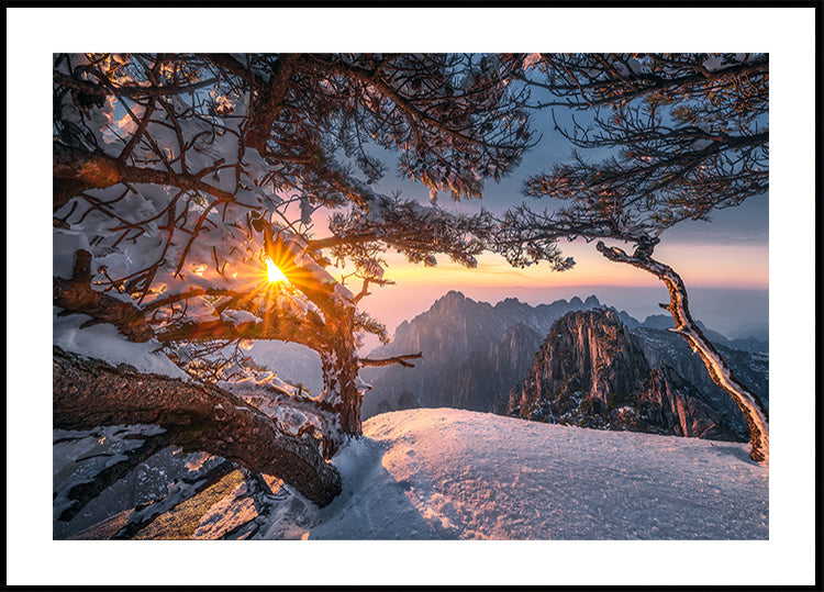 Yellow Mountain and Strange Pine after Snow Plakat