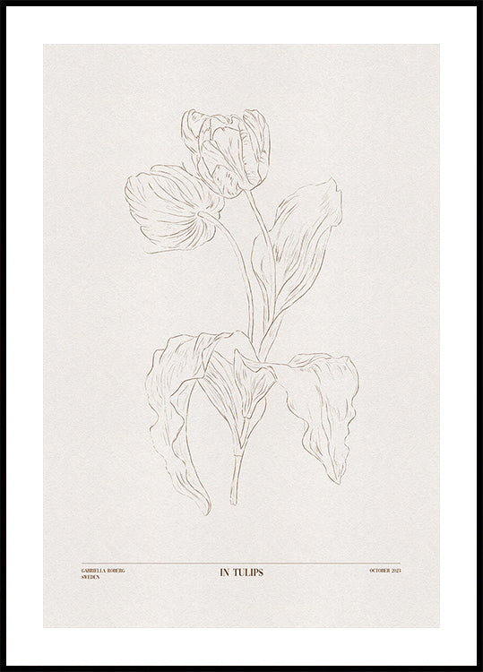 In Tulpen (braun)
