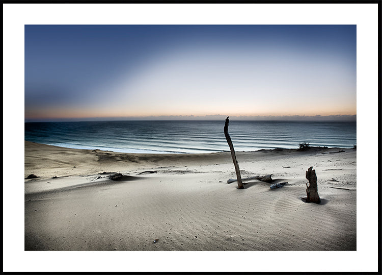 Greifen Sie nach der Sonne