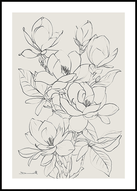 Magnolienbaum