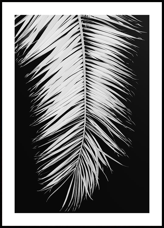 Palmblatt Nr.4 Poster