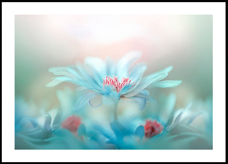 Fantasie