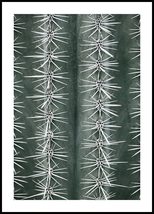 Kaktusgrünes Poster