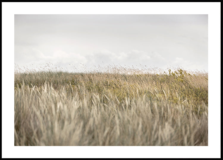 Dünen und Wolken 2