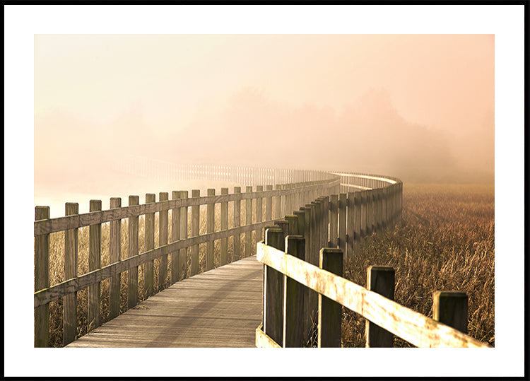 Der Pfad wird heller.